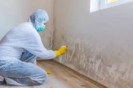 Best Real Estate Mold Inspection  in Virginia Gardens, FL