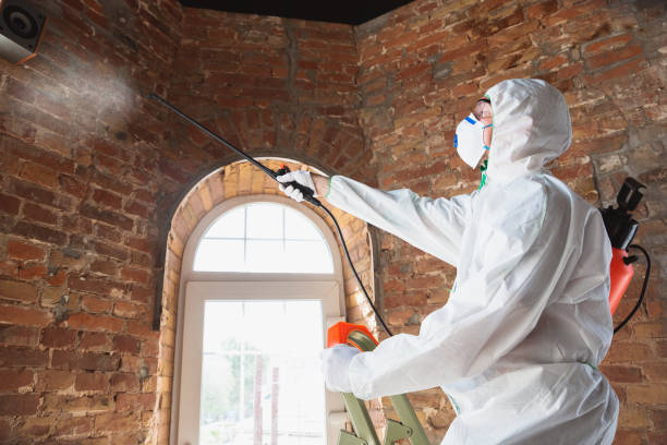 Professional Mold Inspection in Virginia Gardens, FL